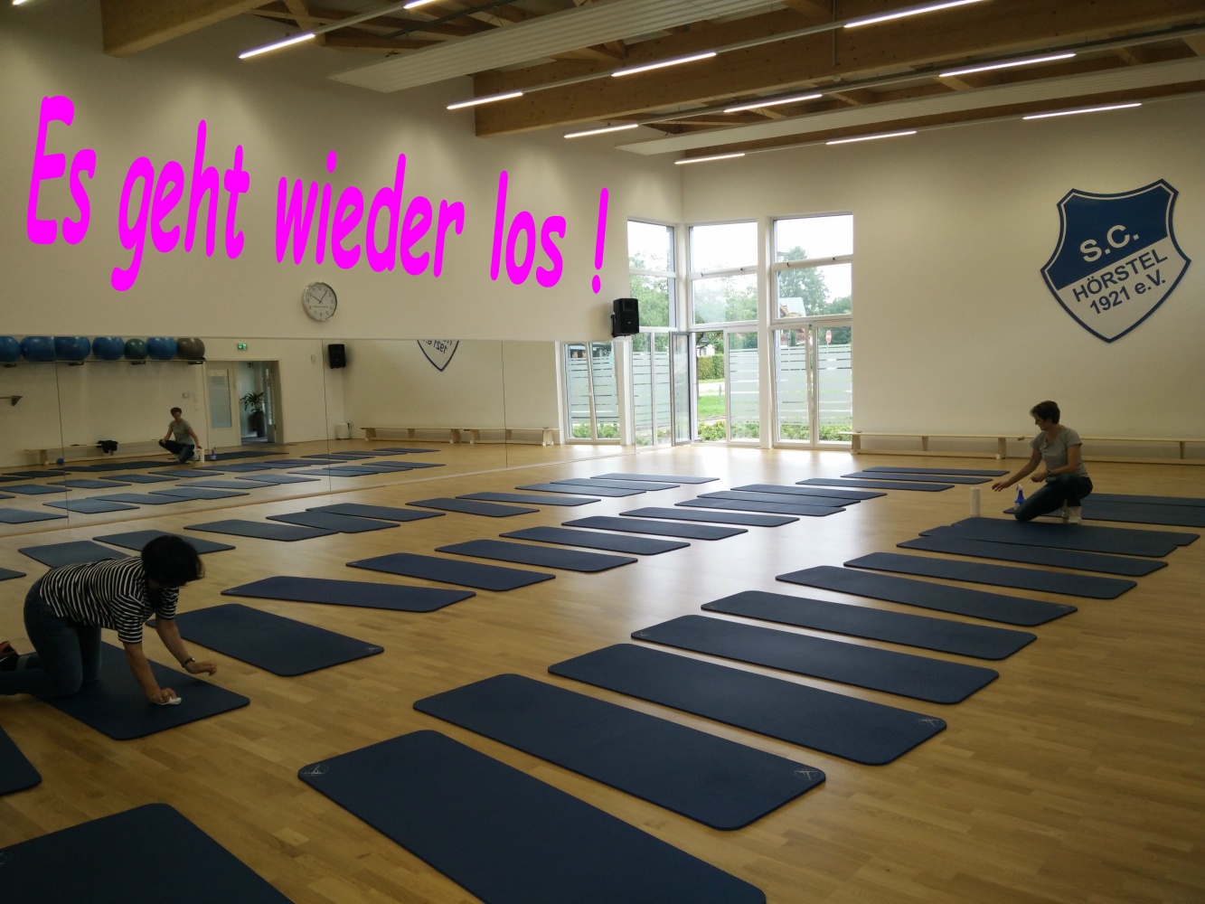 0062Gymnastikhalleputzenkl19082017