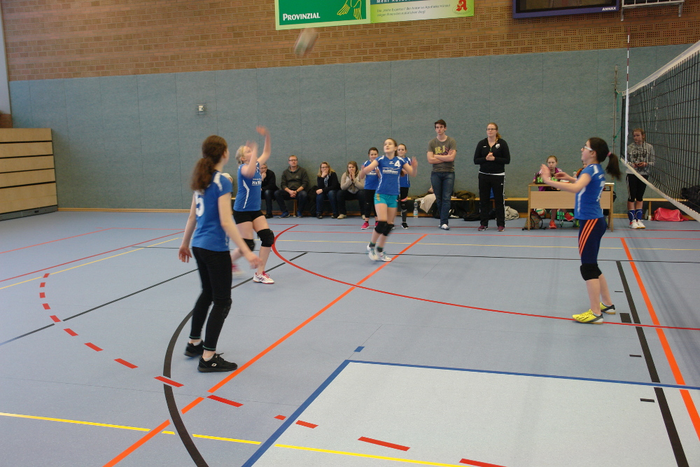 Meister weibliche D-Jugend 2017