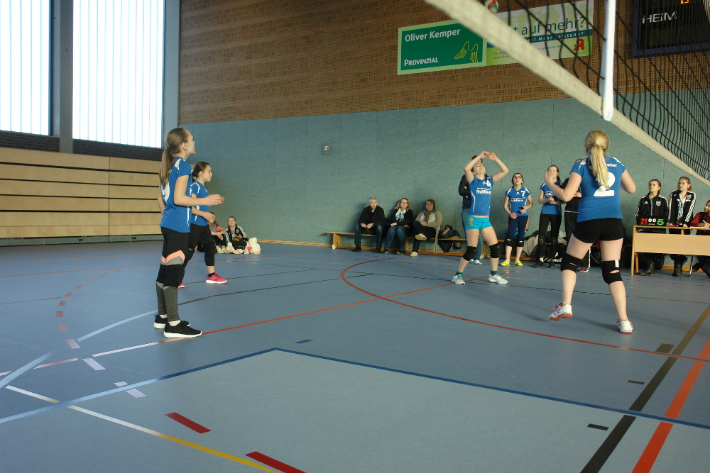 Meister weibliche D-Jugend 2017