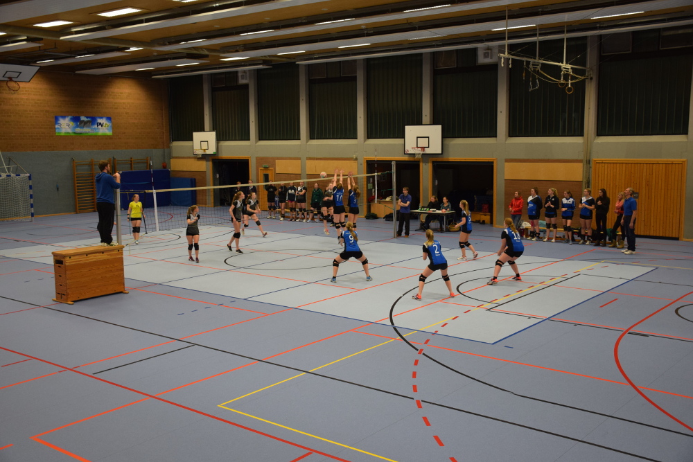 damen gegen stella 2017 01