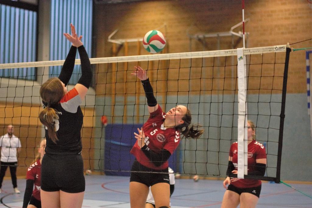 Hoerstel Bevergern 2022 IVZ