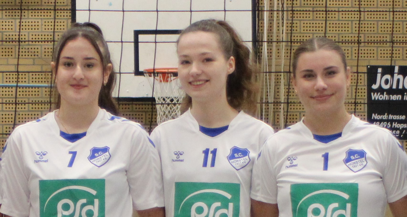 Trainerteam Volleyball wD Jugend 2023