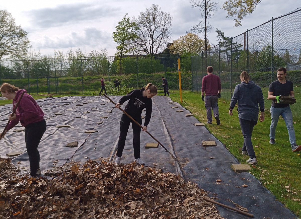 Beachfeld herrichten 02 2024