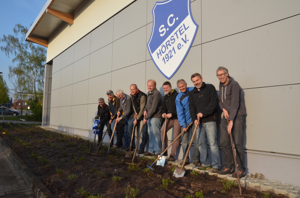 SC Fitness Männer pflanzen Bodendecker 2017 IVZ